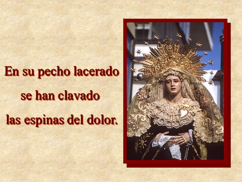 En su pecho lacerado se han clavado las espinas del dolor.