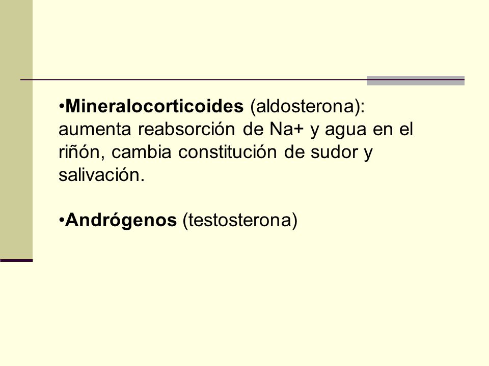 Mineralocorticoides (aldosterona): aumenta reabsorción de Na+ y agua en el riñón, cambia constitución de sudor y salivación.