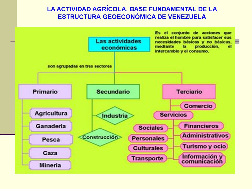 LA ACTIVIDAD AGRÍCOLA, BASE FUNDAMENTAL DE LA ESTRUCTURA GEOECONÓMICA DE VENEZUELA