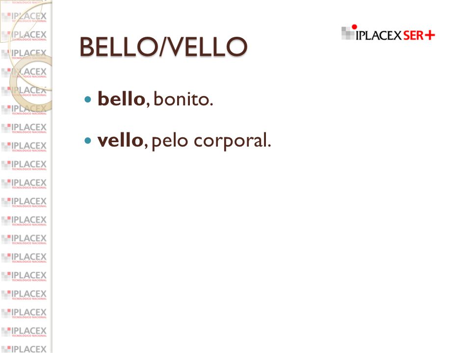 BELLO/VELLO bello, bonito. vello, pelo corporal.