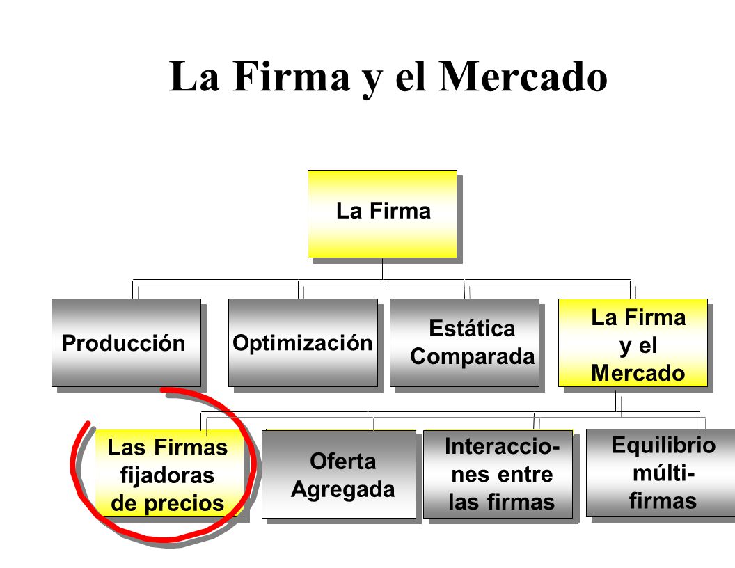 La Firma y el Mercado La Firma La Firma y el Mercado
