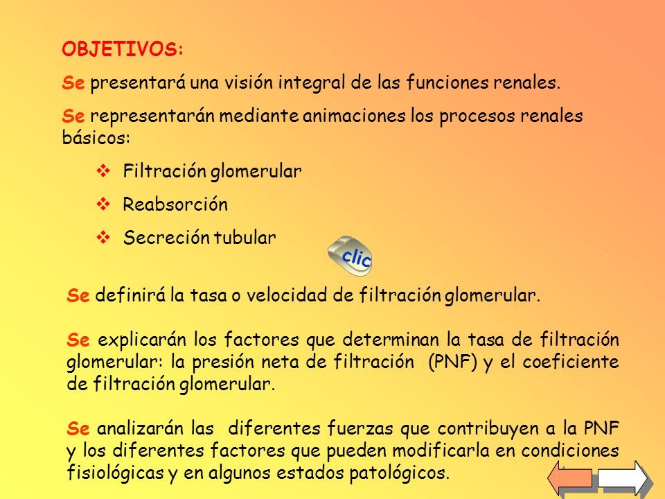 OBJETIVOS: Se presentará una visión integral de las funciones renales. Se representarán mediante animaciones los procesos renales básicos: