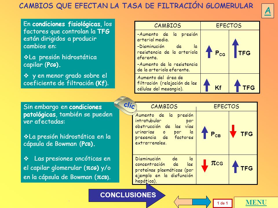 A . CAMBIOS QUE EFECTAN LA TASA DE FILTRACIÓN GLOMERULAR clic
