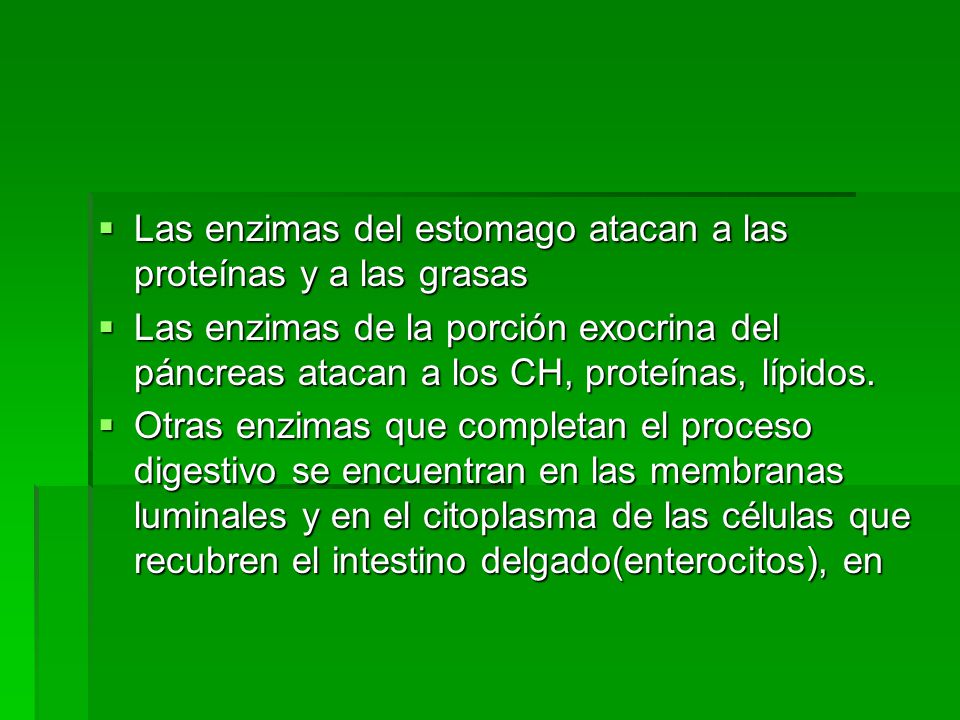 Las enzimas del estomago atacan a las proteínas y a las grasas