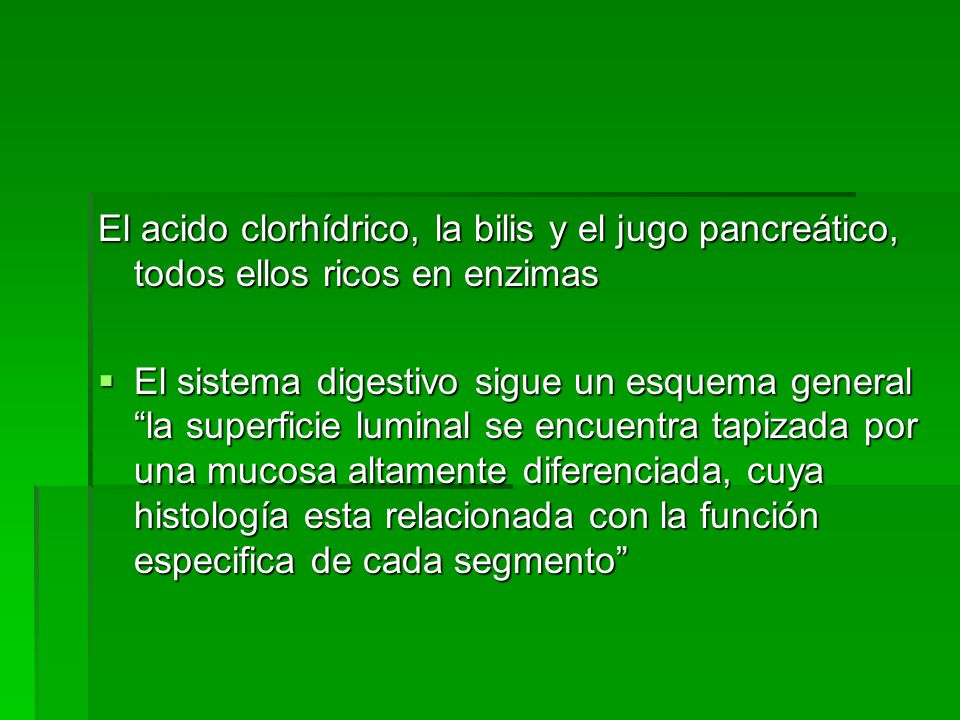 El acido clorhídrico, la bilis y el jugo pancreático, todos ellos ricos en enzimas