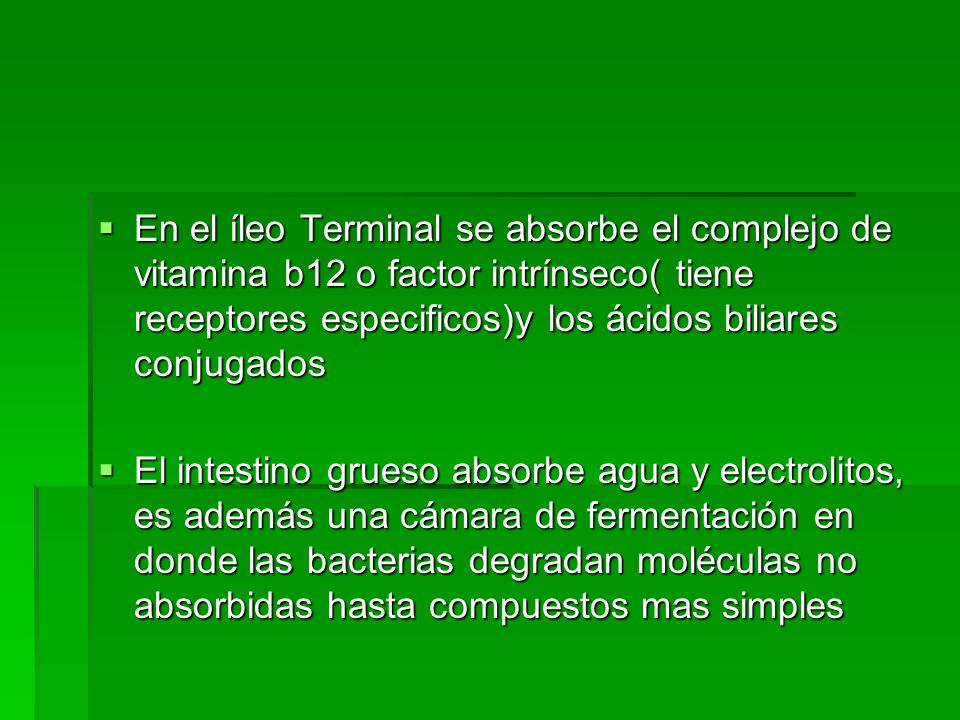 En el íleo Terminal se absorbe el complejo de vitamina b12 o factor intrínseco( tiene receptores especificos)y los ácidos biliares conjugados
