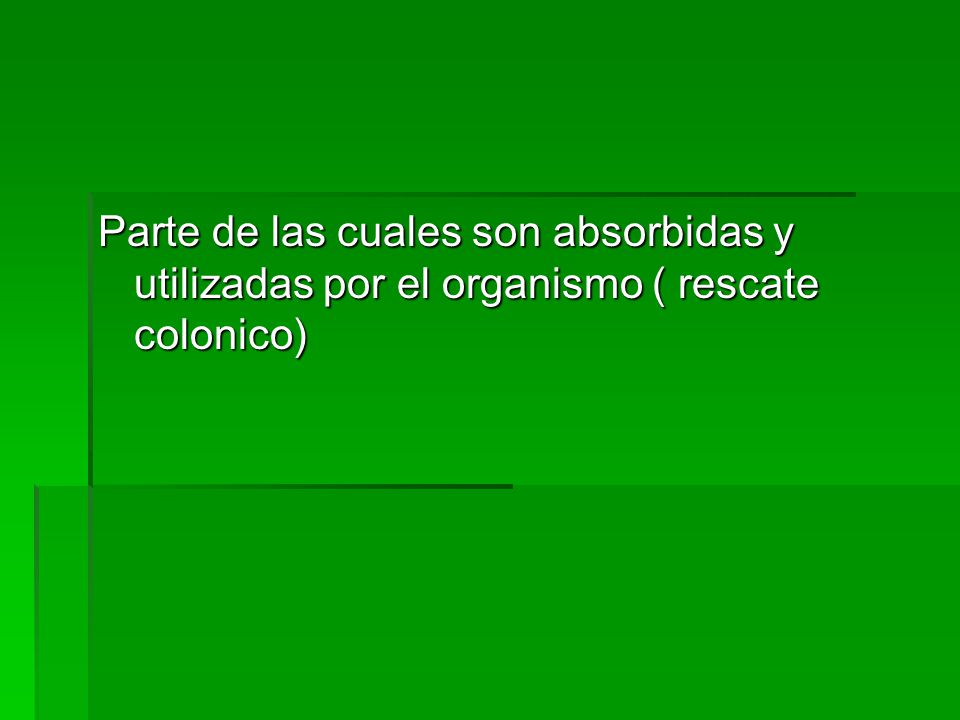 Parte de las cuales son absorbidas y utilizadas por el organismo ( rescate colonico)
