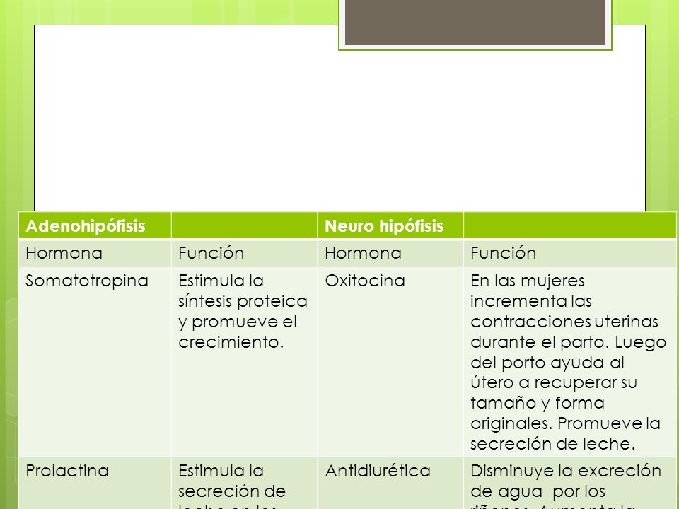 Adenohipófisis Neuro hipófisis. Hormona. Función. Somatotropina. Estimula la síntesis proteica y promueve el crecimiento.