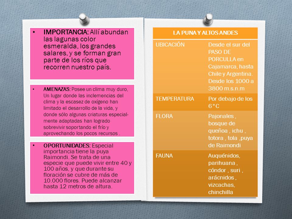 IMPORTANCIA: Allí abundan las lagunas color esmeralda, los grandes salares, y se forman gran parte de los ríos que recorren nuestro país.