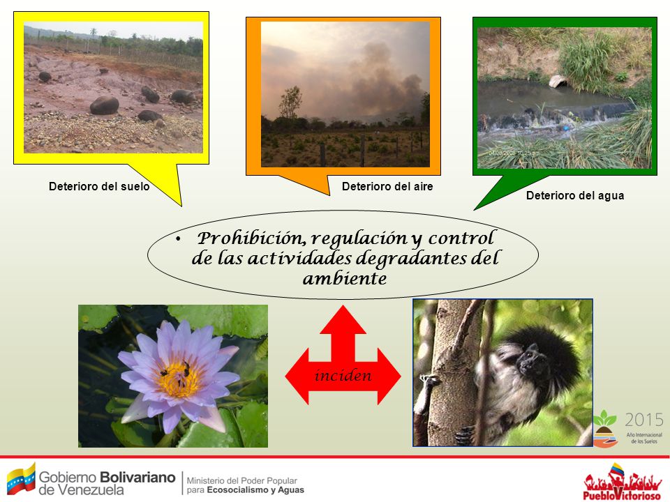 Deterioro del suelo Deterioro del aire. Deterioro del agua. Prohibición, regulación y control de las actividades degradantes del ambiente.