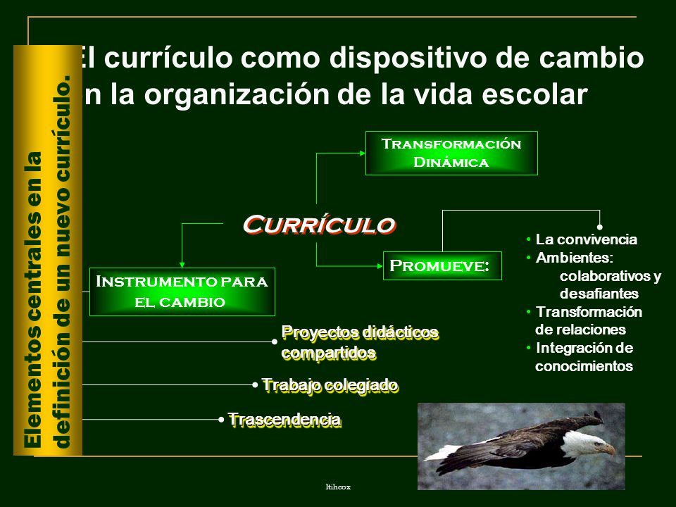 El currículo como dispositivo de cambio en la organización de la vida escolar