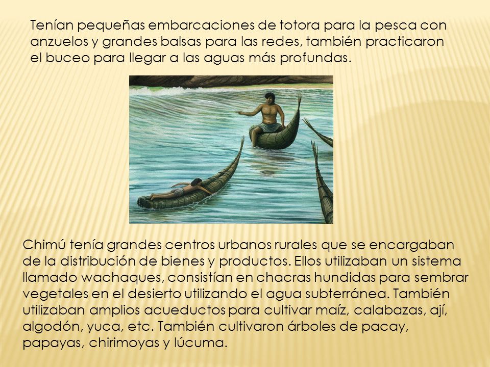 Tenían pequeñas embarcaciones de totora para la pesca con anzuelos y grandes balsas para las redes, también practicaron el buceo para llegar a las aguas más profundas.