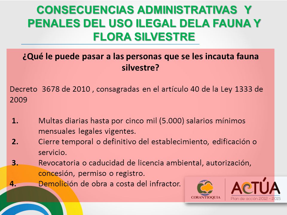 ¿Qué le puede pasar a las personas que se les incauta fauna silvestre