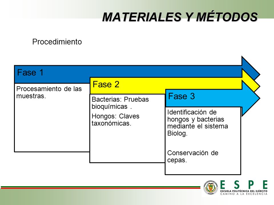 MATERIALES Y MÉTODOS Fase 1 Fase 2 Fase 3 Procedimiento