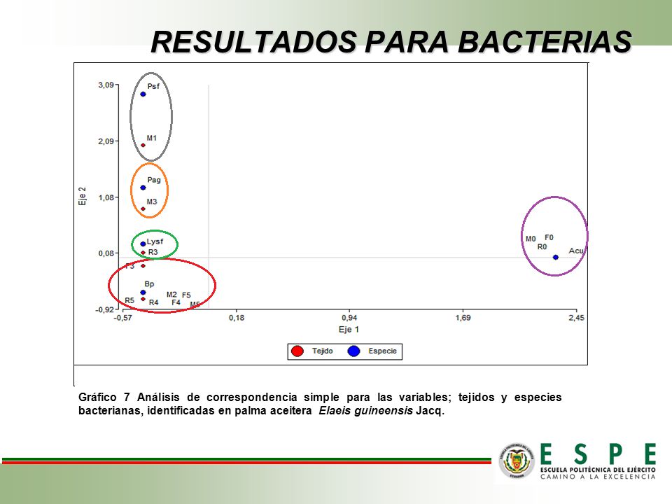 RESULTADOS PARA BACTERIAS