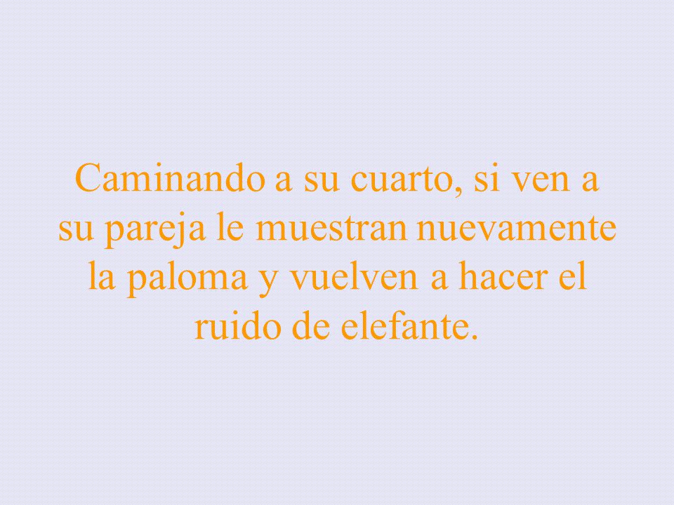 Caminando a su cuarto, si ven a su pareja le muestran nuevamente la paloma y vuelven a hacer el ruido de elefante.