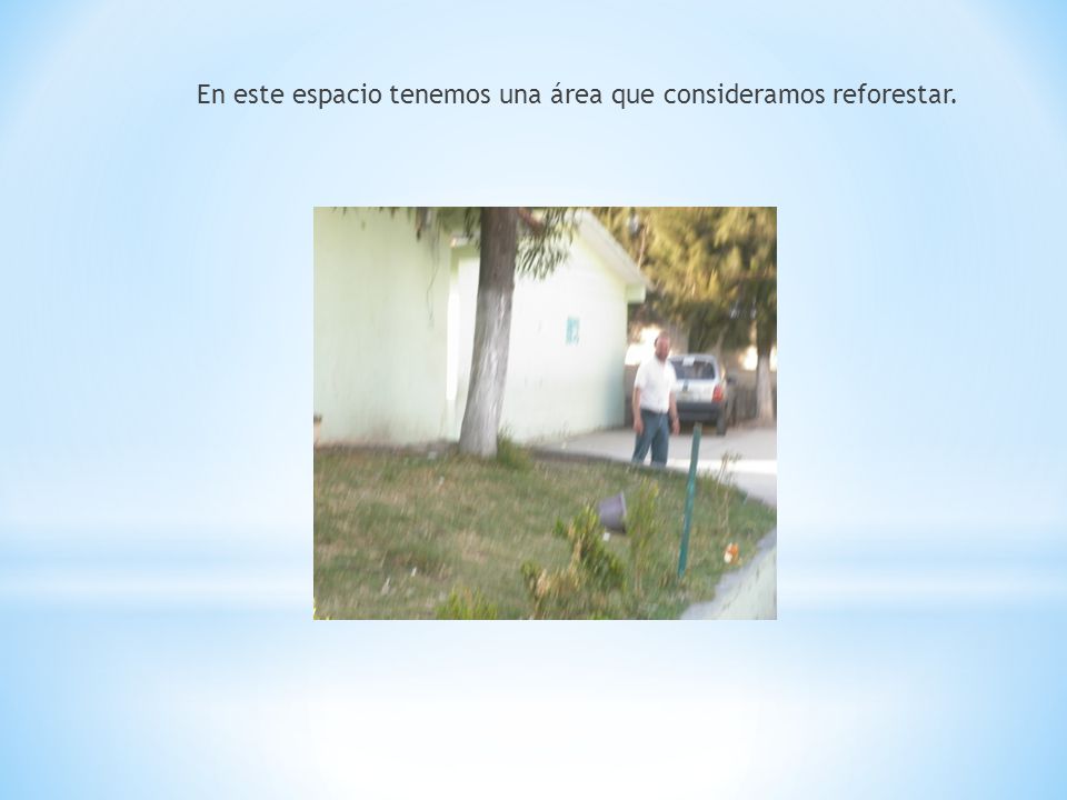 En este espacio tenemos una área que consideramos reforestar.