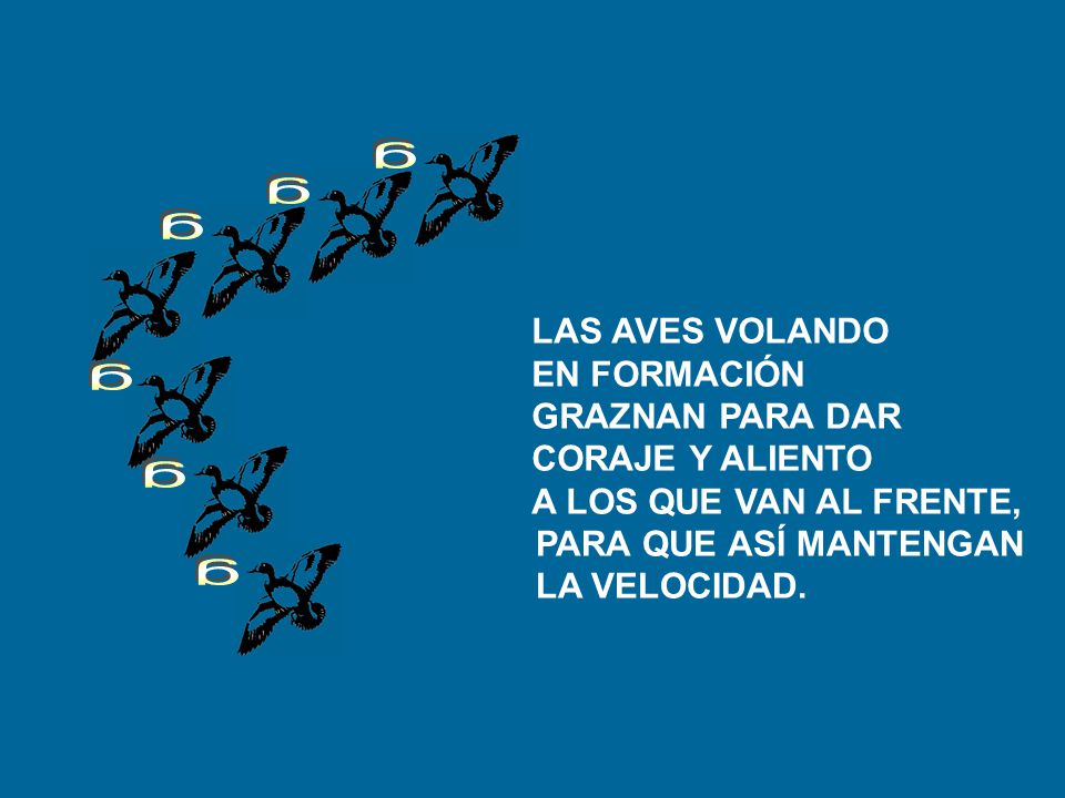 g g g g g g LAS AVES VOLANDO EN FORMACIÓN GRAZNAN PARA DAR