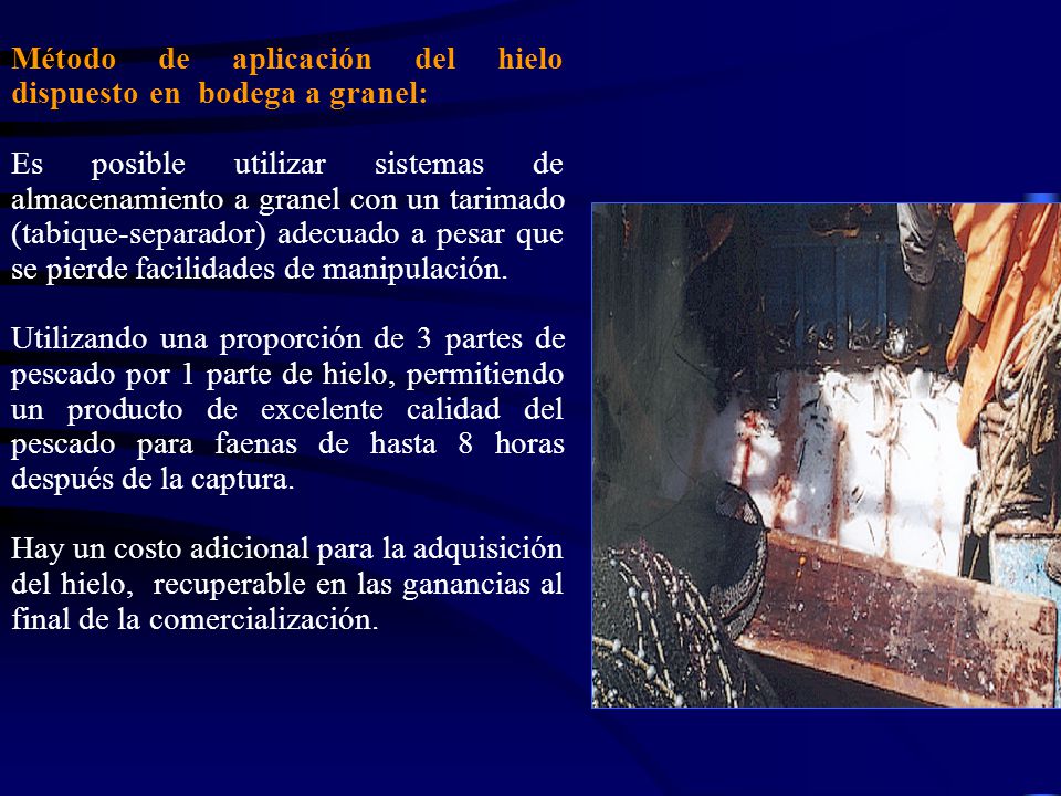 Método de aplicación del hielo dispuesto en bodega a granel: