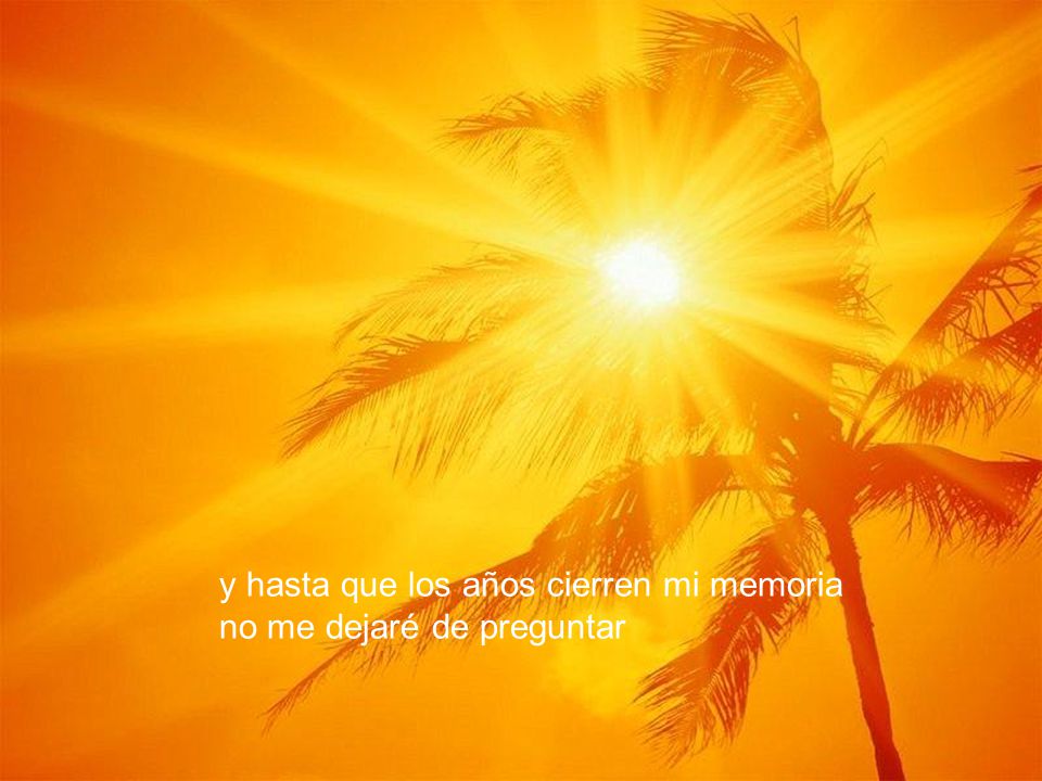 y hasta que los años cierren mi memoria no me dejaré de preguntar