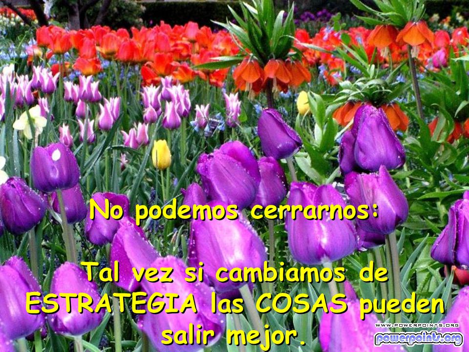 No podemos cerrarnos: Tal vez si cambiamos de ESTRATEGIA las COSAS pueden salir mejor.