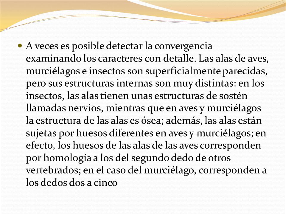 A veces es posible detectar la convergencia examinando los caracteres con detalle.