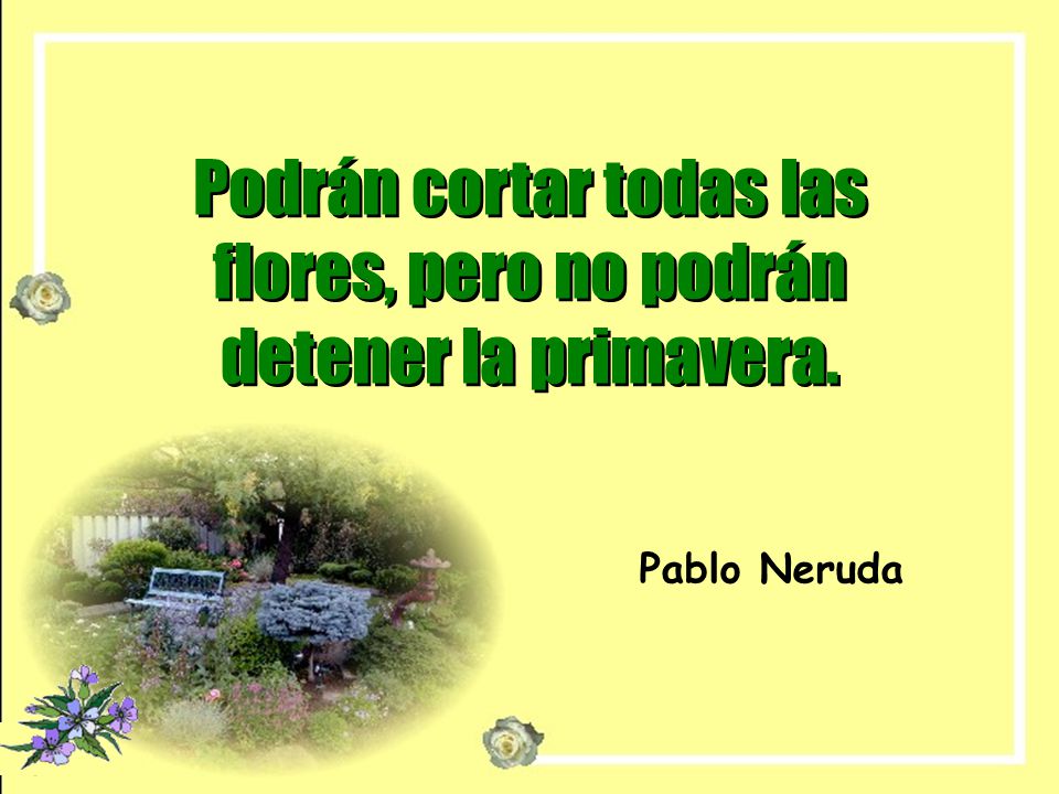 Podrán cortar todas las flores, pero no podrán detener la primavera.