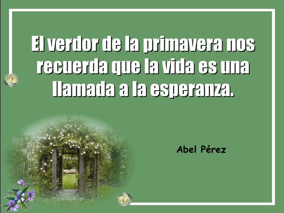 El verdor de la primavera nos recuerda que la vida es una llamada a la esperanza.