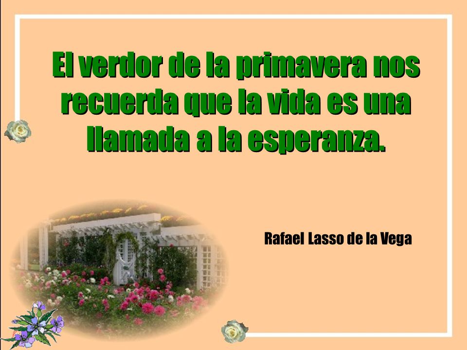 El verdor de la primavera nos recuerda que la vida es una llamada a la esperanza.