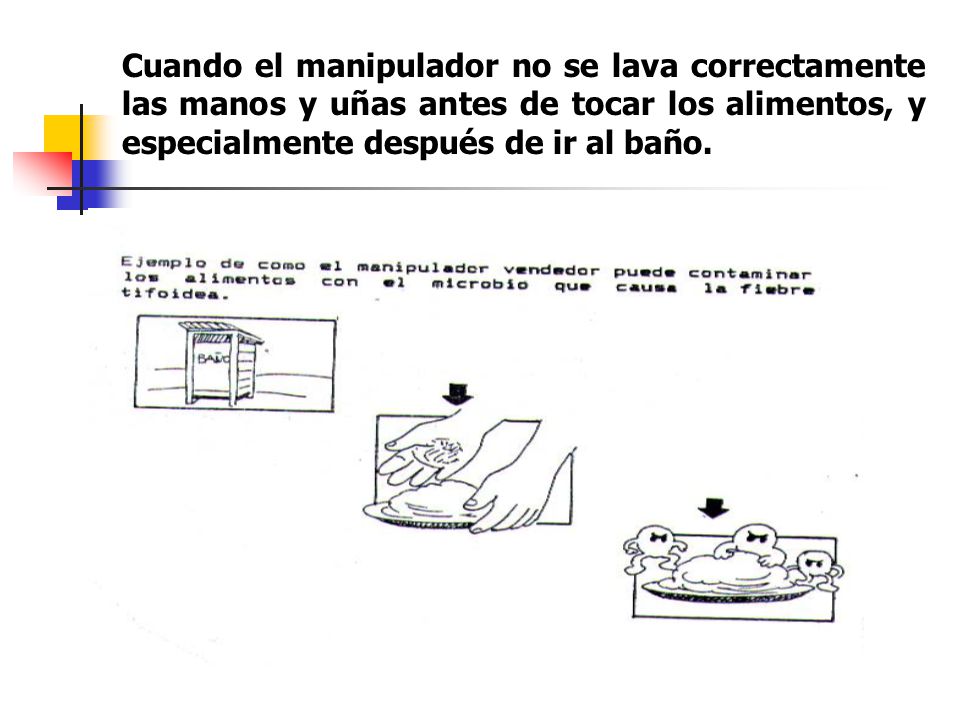 Cuando el manipulador no se lava correctamente las manos y uñas antes de tocar los alimentos, y especialmente después de ir al baño.