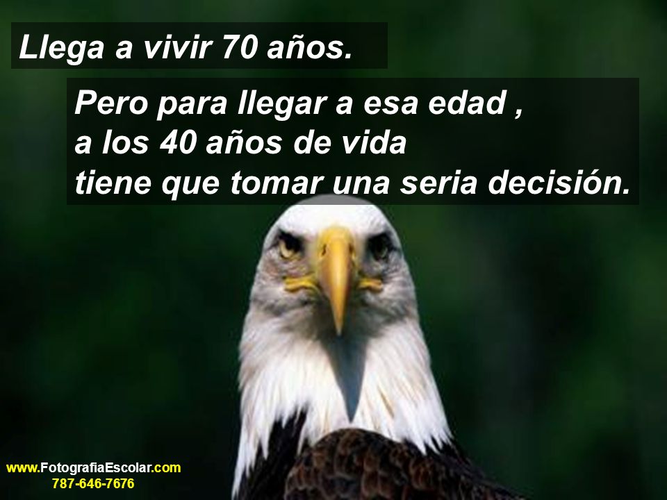 Llega a vivir 70 años. Pero para llegar a esa edad , a los 40 años de vida tiene que tomar una seria decisión.