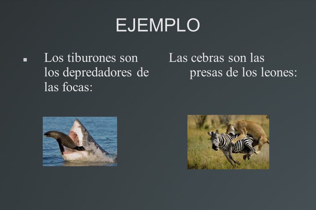 EJEMPLO Los tiburones son los depredadores de las focas: