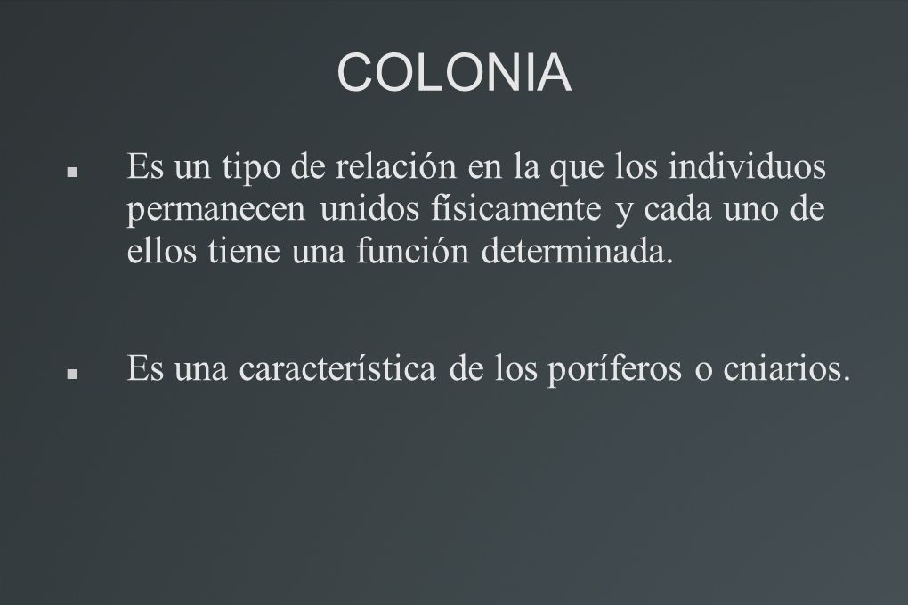 COLONIA Es un tipo de relación en la que los individuos permanecen unidos físicamente y cada uno de ellos tiene una función determinada.