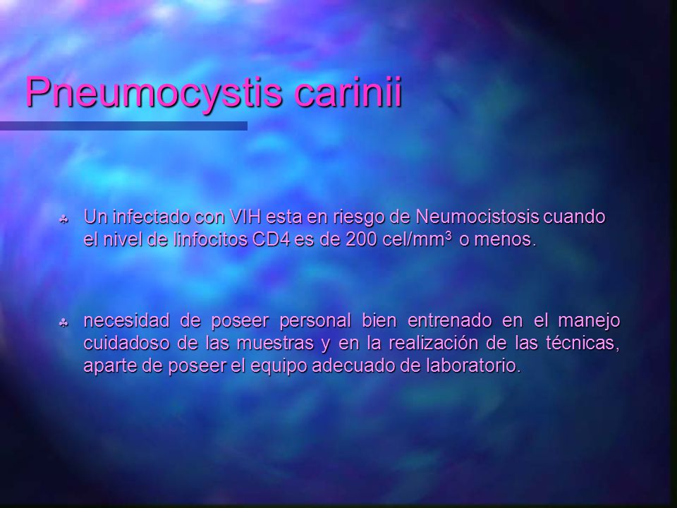 Pneumocystis carinii Un infectado con VIH esta en riesgo de Neumocistosis cuando el nivel de linfocitos CD4 es de 200 cel/mm3 o menos.