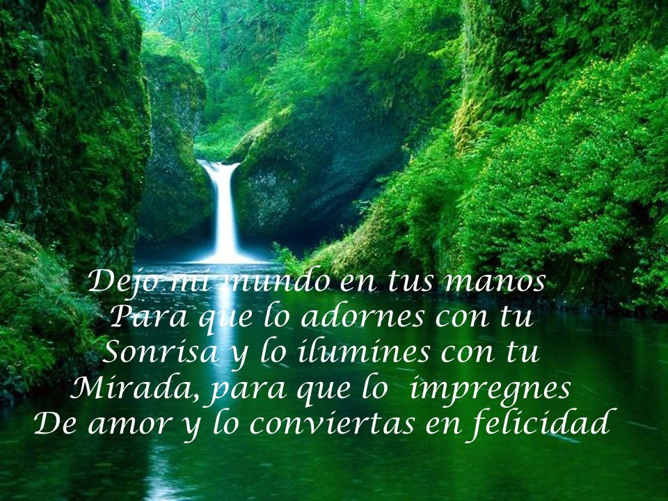 Dejo mi mundo en tus manos Para que lo adornes con tu