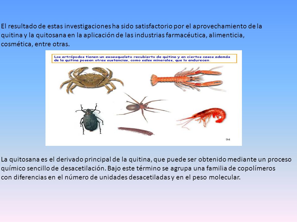 El resultado de estas investigaciones ha sido satisfactorio por el aprovechamiento de la