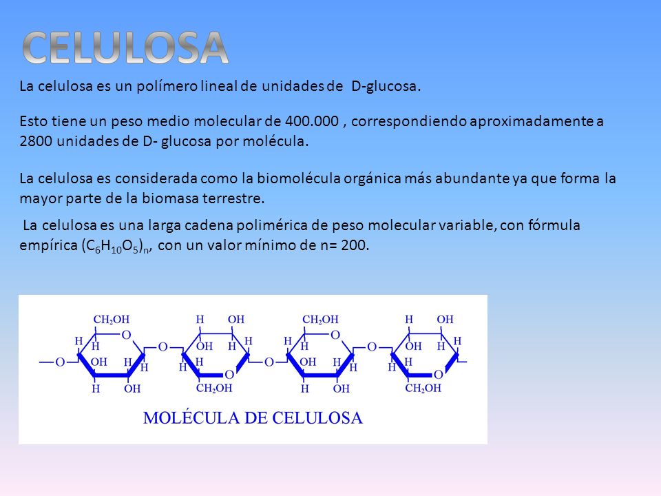CELULOSA La celulosa es un polímero lineal de unidades de D-glucosa.