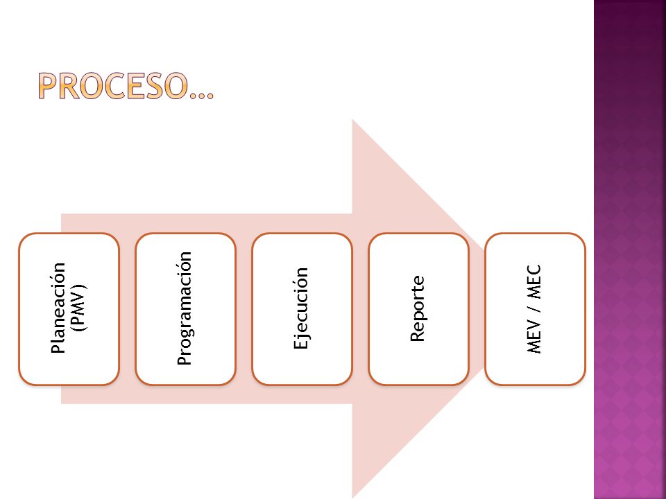 Proceso… Planeación (PMV) Programación Ejecución Reporte MEV / MEC