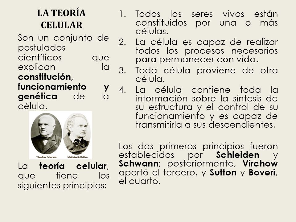 LA TEORÍA CELULAR Todos los seres vivos están constituidos por una o más células.