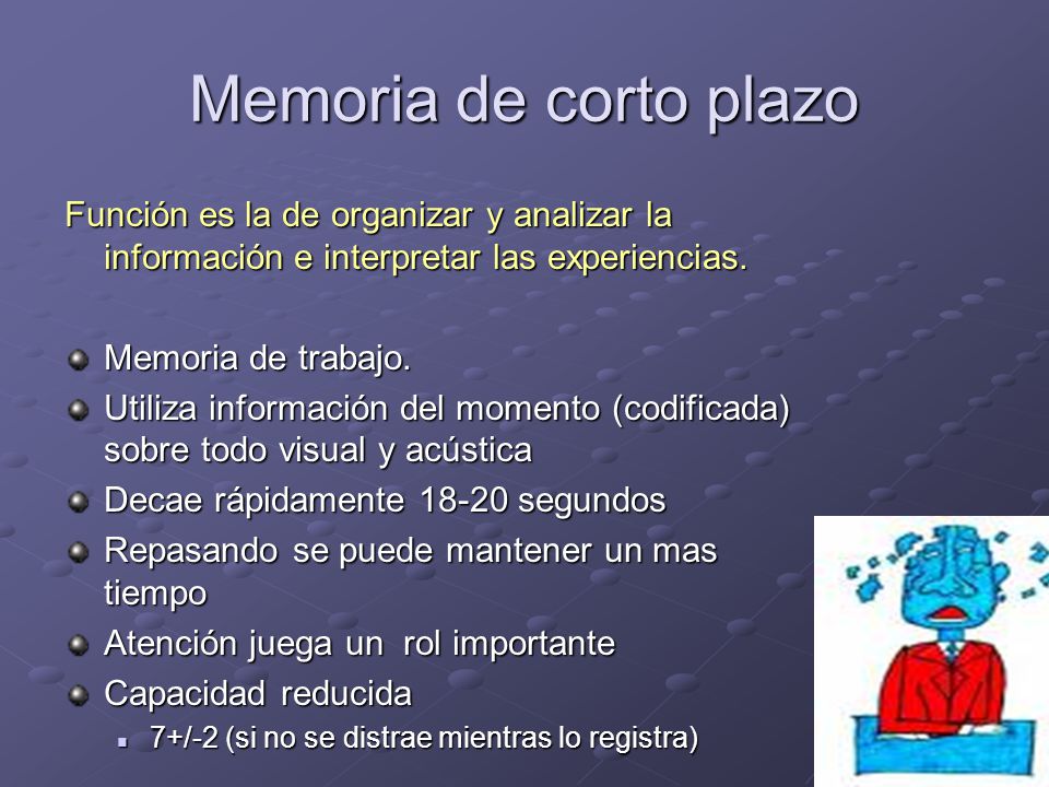Memoria de corto plazo Función es la de organizar y analizar la información e interpretar las experiencias.