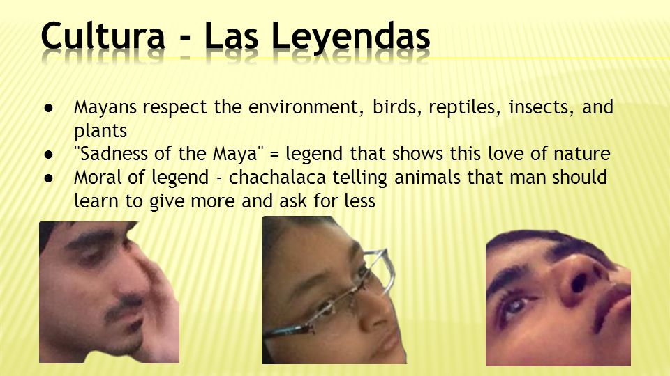 Cultura - Las Leyendas Mayans respect the environment, birds, reptiles, insects, and plants.