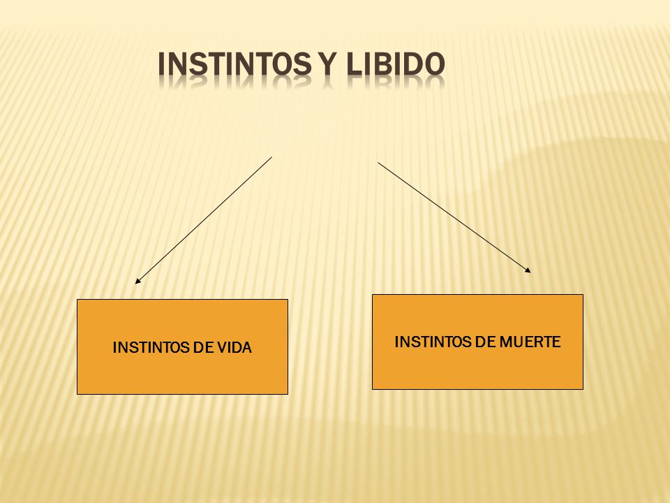 Instintos y libido INSTINTOS DE MUERTE INSTINTOS DE VIDA Hghgh