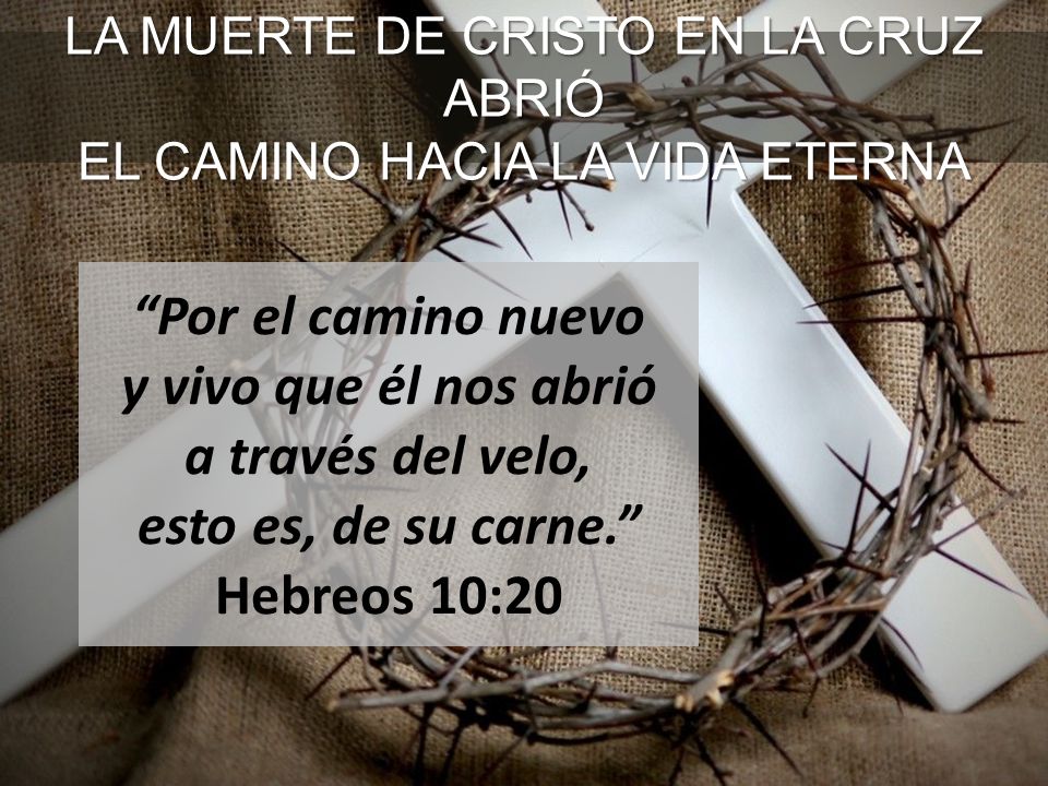 LA MUERTE DE CRISTO EN LA CRUZ ABRIÓ EL CAMINO HACIA LA VIDA ETERNA