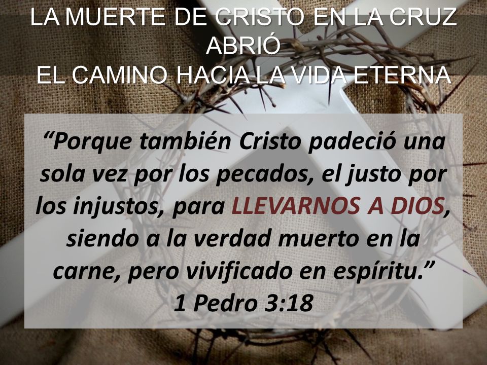LA MUERTE DE CRISTO EN LA CRUZ ABRIÓ EL CAMINO HACIA LA VIDA ETERNA