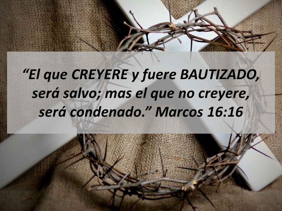 El que CREYERE y fuere BAUTIZADO, será salvo; mas el que no creyere, será condenado. Marcos 16:16