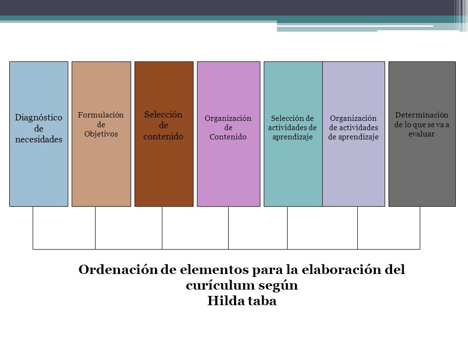 Ordenación de elementos para la elaboración del curículum según