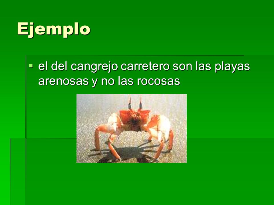 Ejemplo el del cangrejo carretero son las playas arenosas y no las rocosas