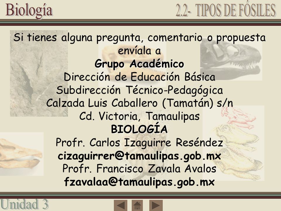 2.2- TIPOS DE FÓSILES Si tienes alguna pregunta, comentario o propuesta envíala a. Grupo Académico.