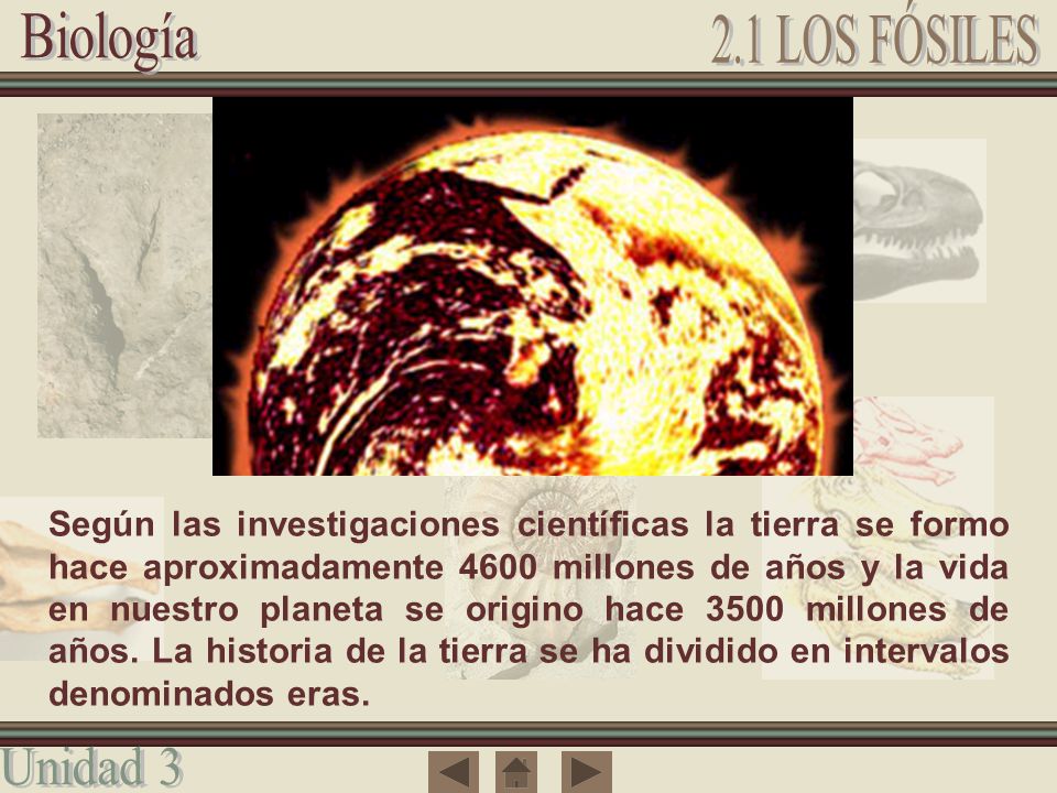 Según las investigaciones científicas la tierra se formo hace aproximadamente 4600 millones de años y la vida en nuestro planeta se origino hace 3500 millones de años.