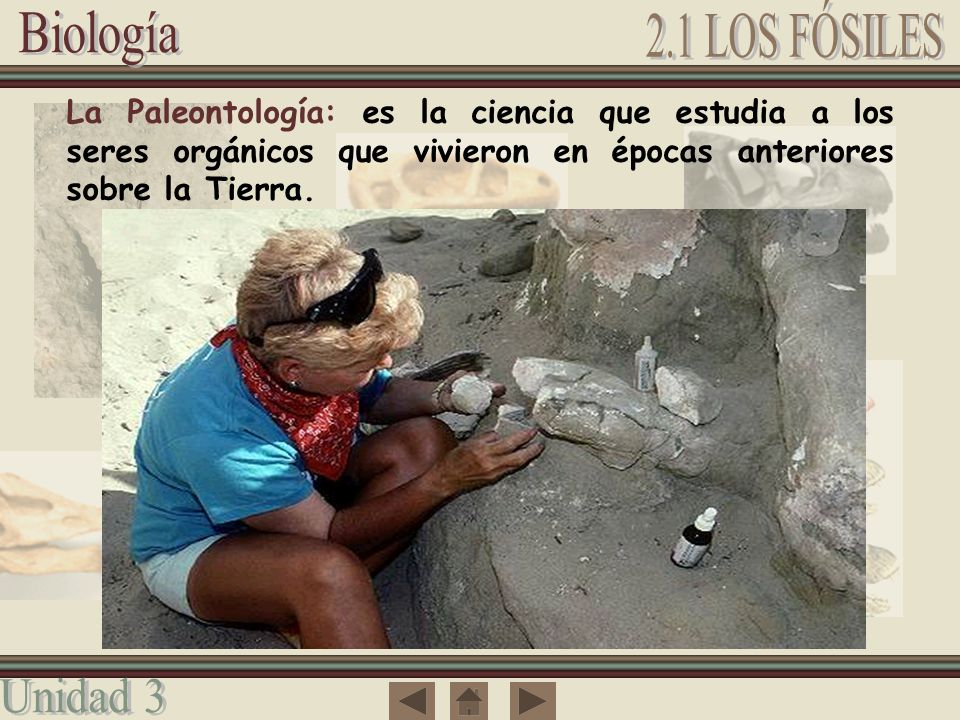 La Paleontología: es la ciencia que estudia a los seres orgánicos que vivieron en épocas anteriores sobre la Tierra.